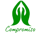Valores