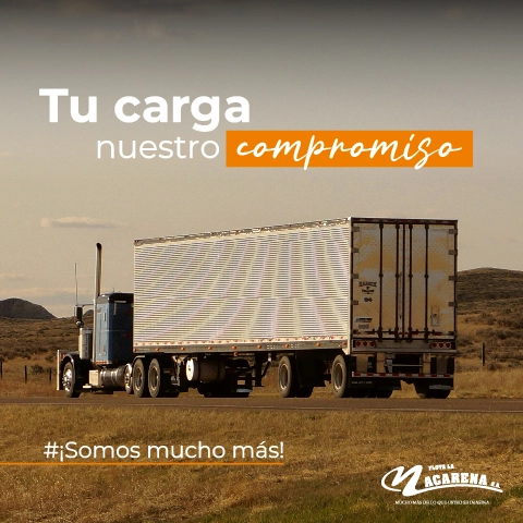 Transporte de Carga