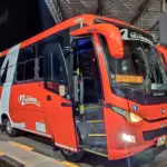 Pasajes de bus de Pitalito a Bogotá