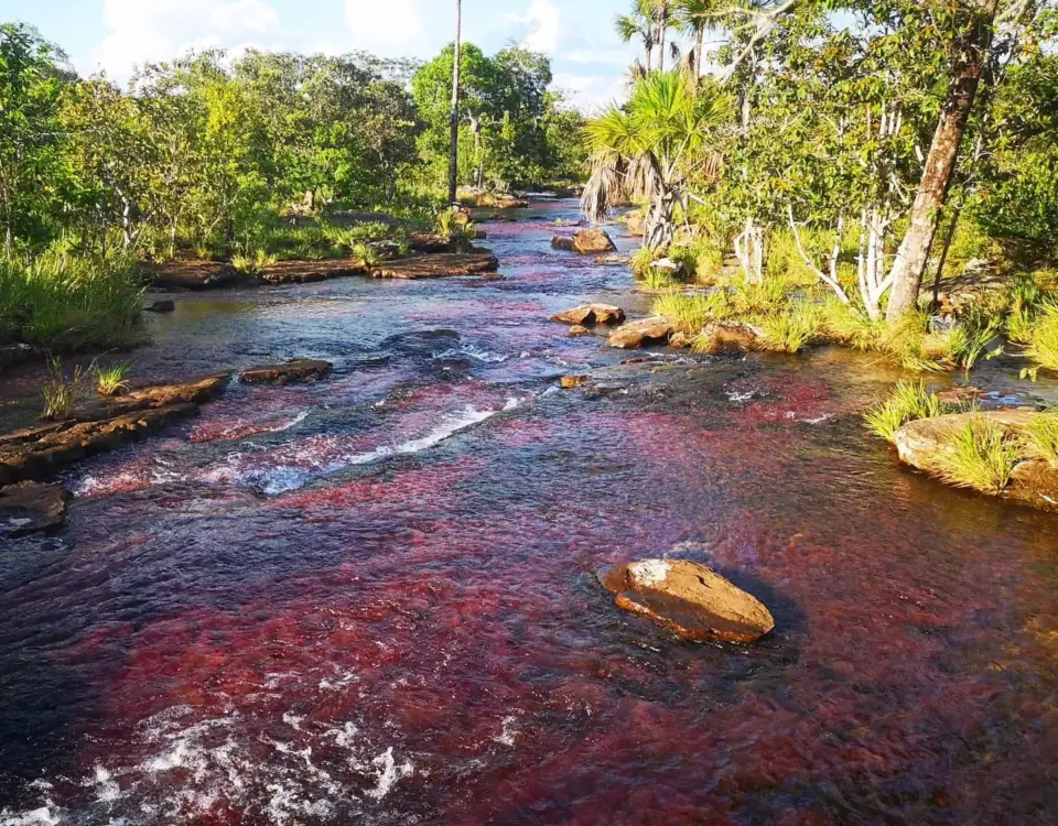 Río de colores en San José del Guaviare, consigue tus pasajes de Bogotá a San Jose del Guaviare en Flota La Macarena.