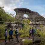 Piedra de Orion, compra aquí tus pasaje de Villavicencio a San José del Guaviare