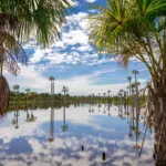 Laguna del amor, compra tus pasajes a Puerto Rico Meta con Flota La Macarena.