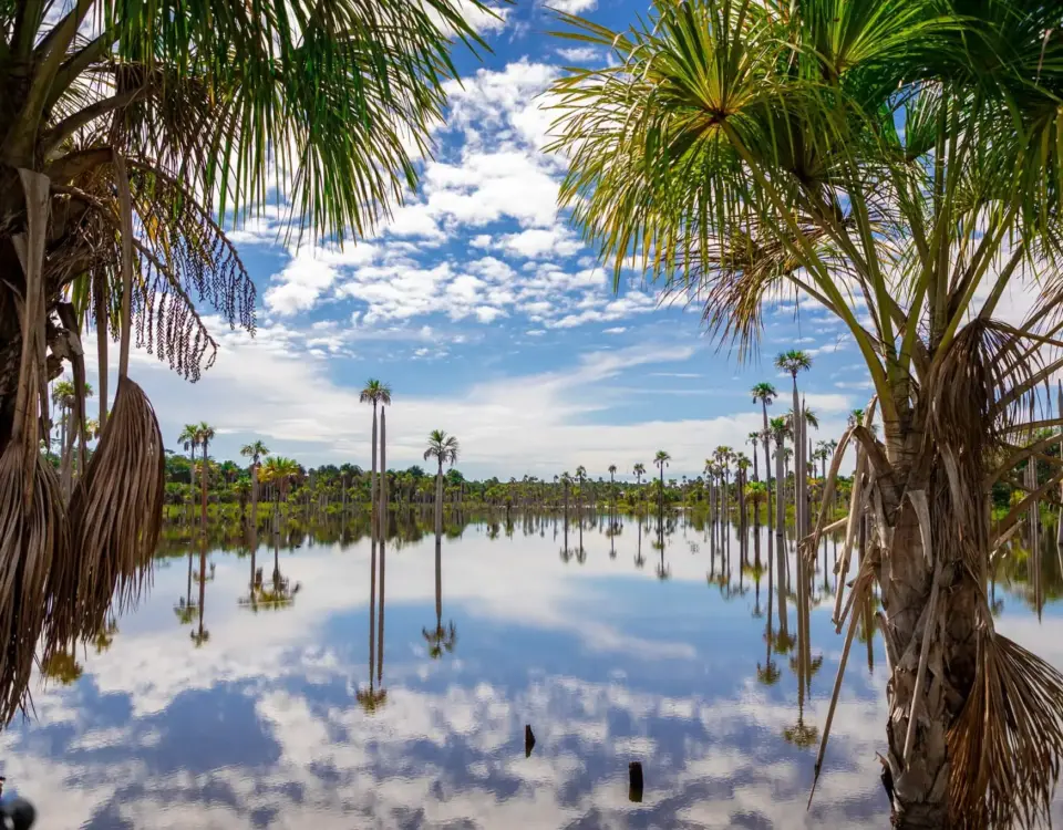 Laguna del amor, compra tus pasajes a Puerto Rico Meta con Flota La Macarena.