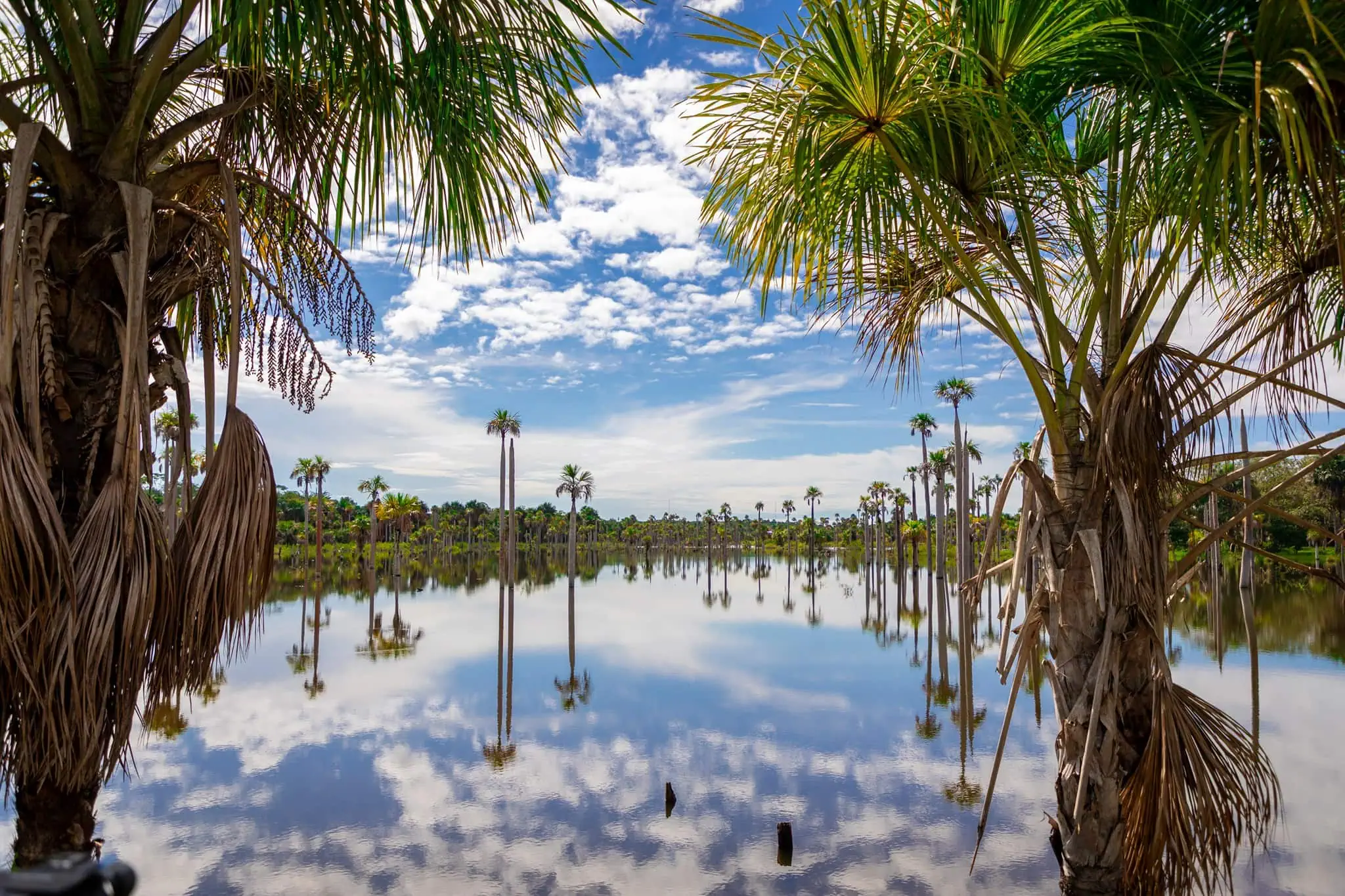 Laguna del amor, compra tus pasajes a Puerto Rico Meta con Flota La Macarena.