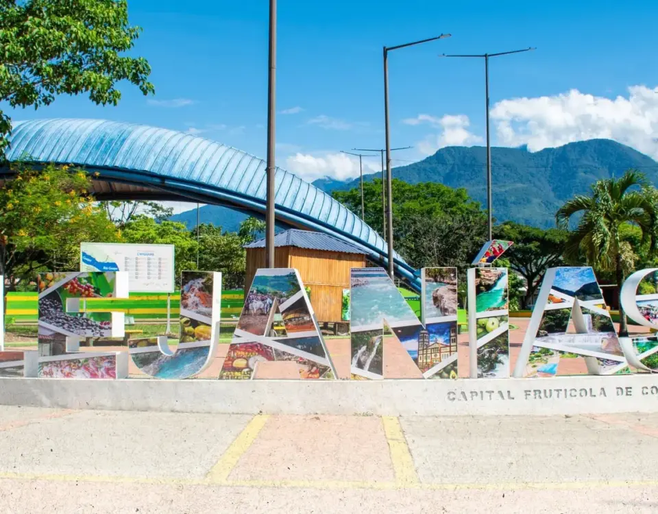 Pasajes de bus de Lejanías a Bogotá