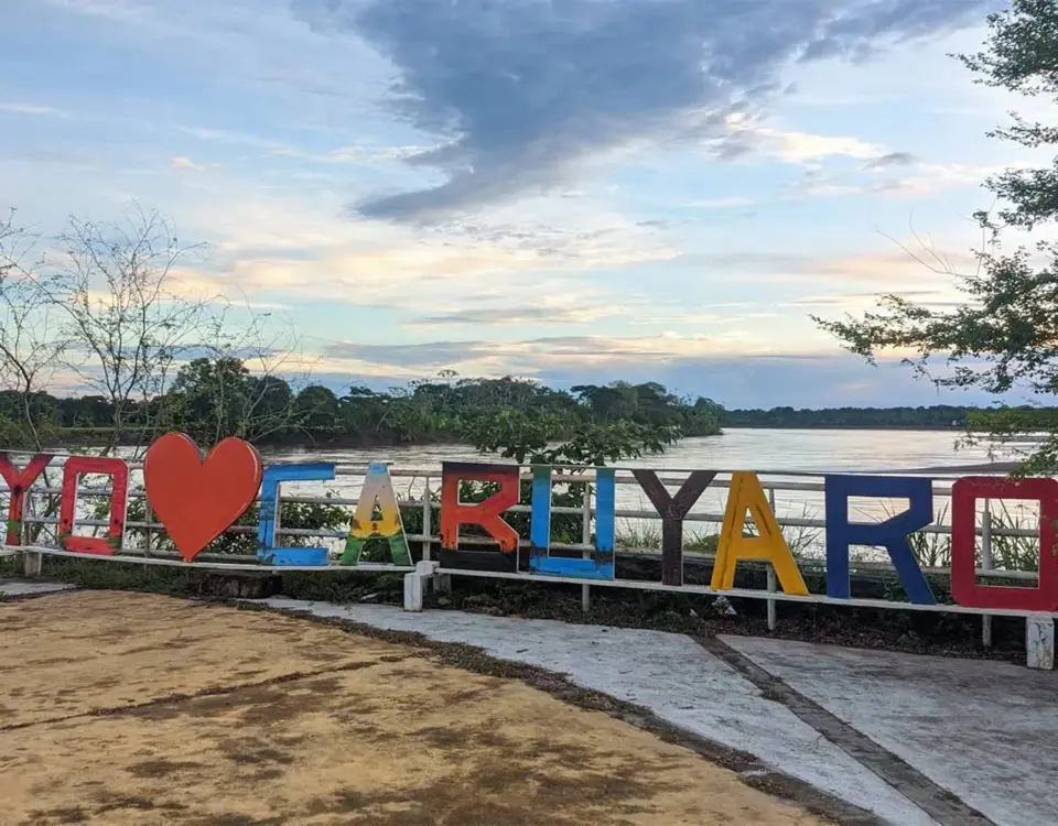 Pasajes de bus de Villavicencio a Cabayuro