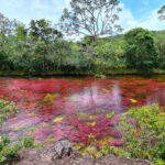 Caño Cristales por tierra