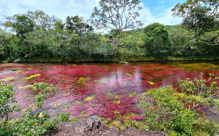 Caño Cristales por tierra