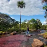 Descubre el Guaviare viajando por tierra