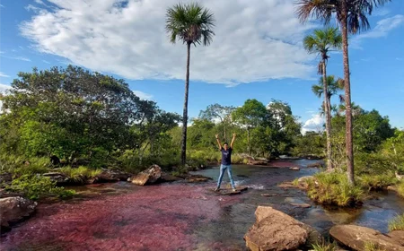 Descubre el Guaviare viajando por tierra