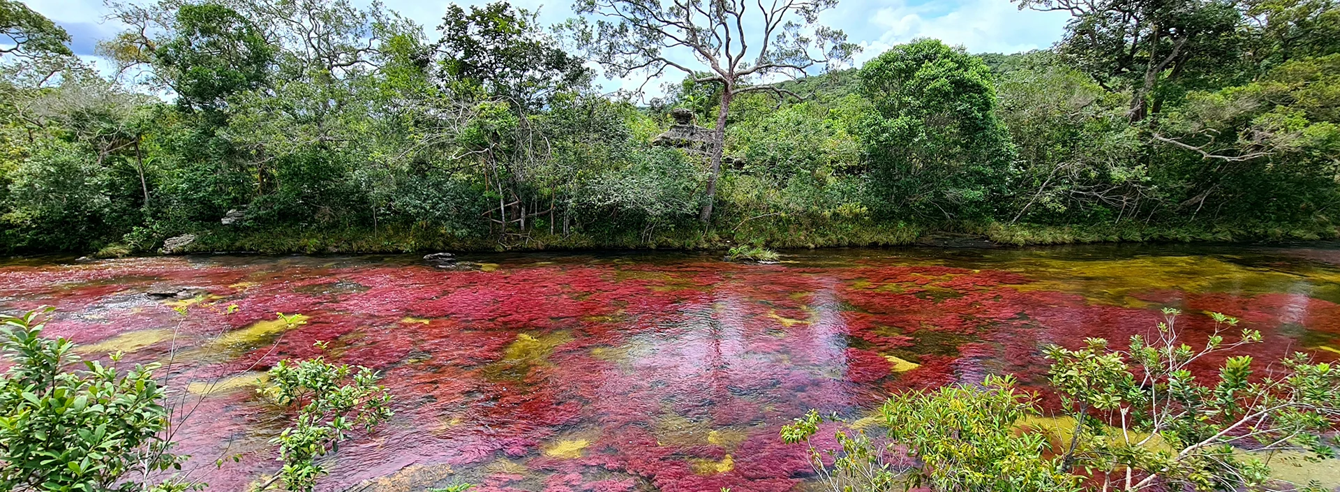 Caño Cristales por tierra