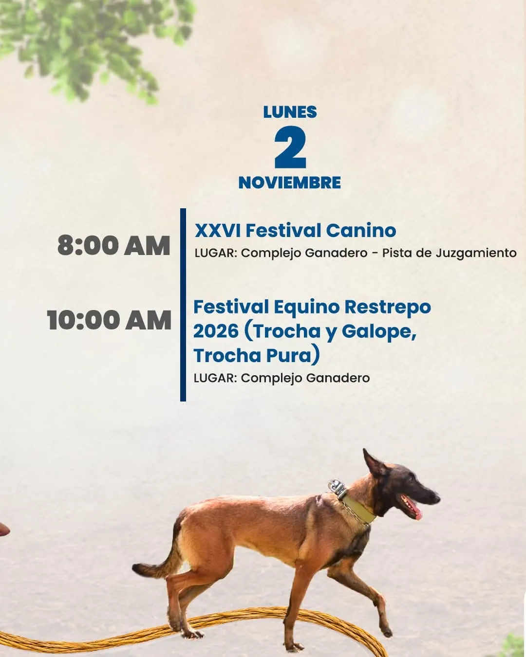 Programación lunes 2 de noviembre de 2026 Festival del Pan de Arroz en Restrepo Meta